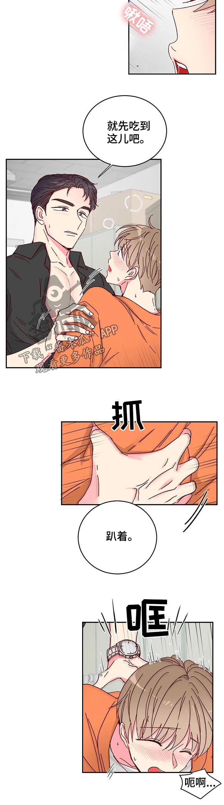 11.jpg