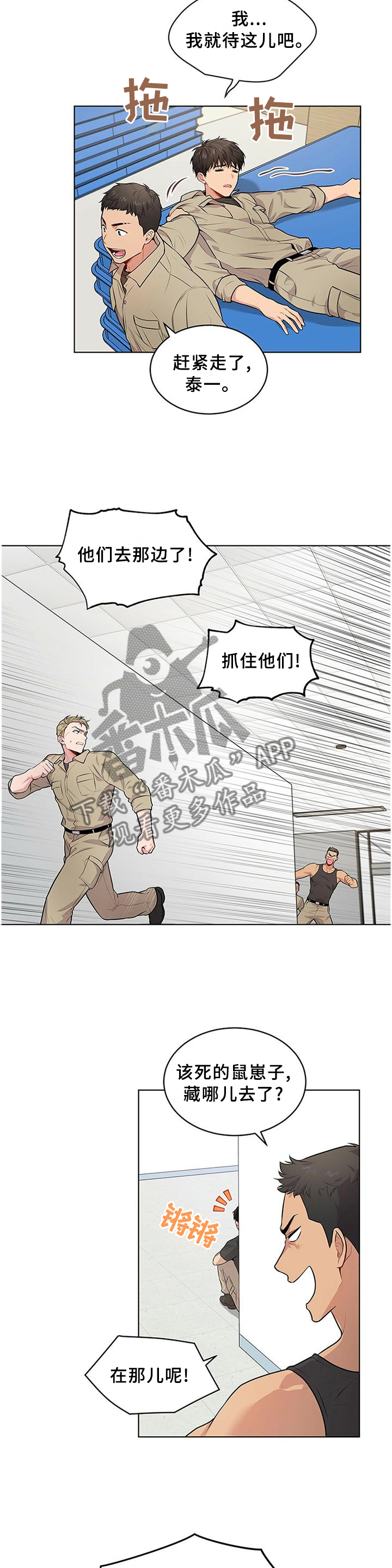 11.jpg