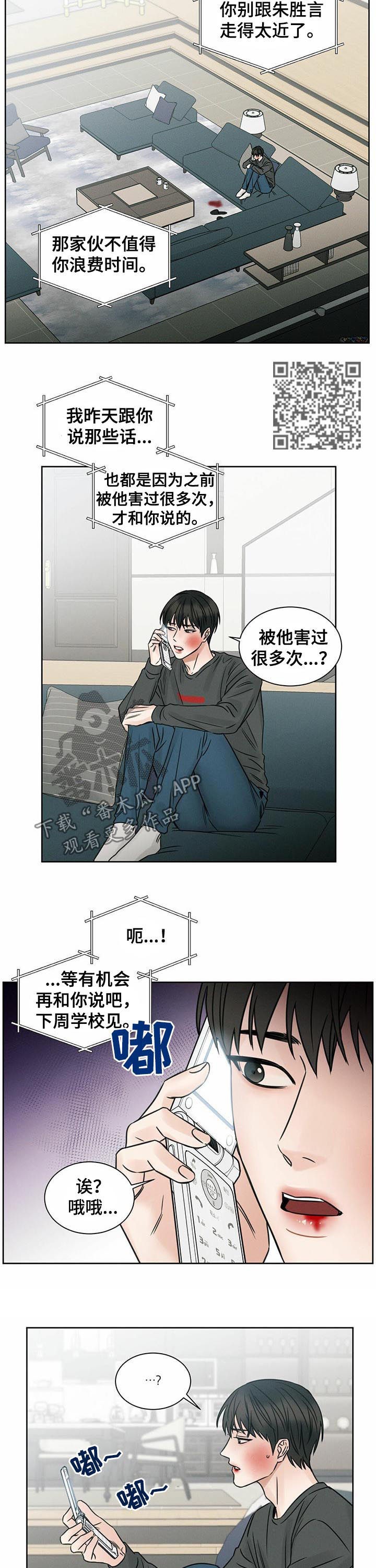 5.jpg