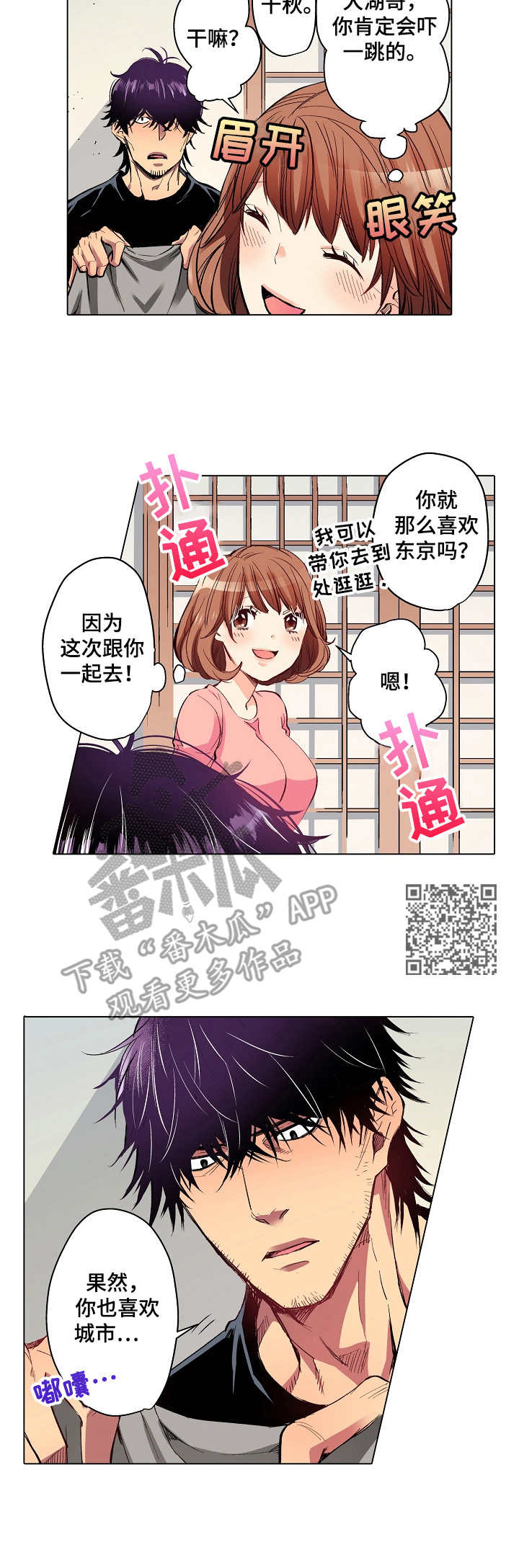 5.jpg