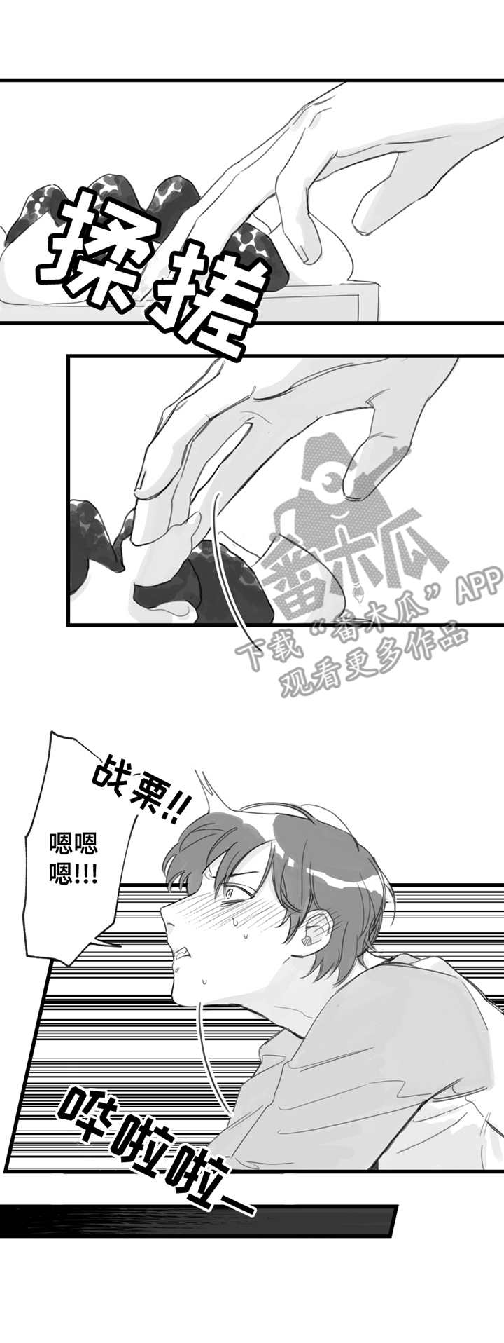 4.jpg