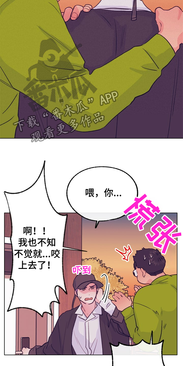 18.jpg