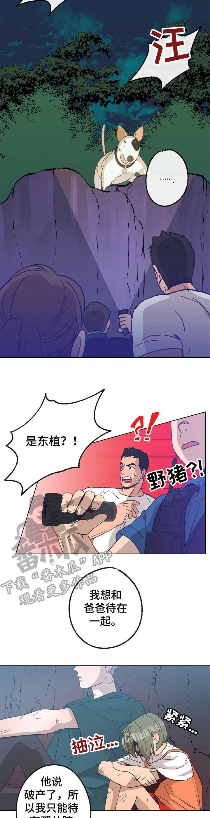 3.jpg