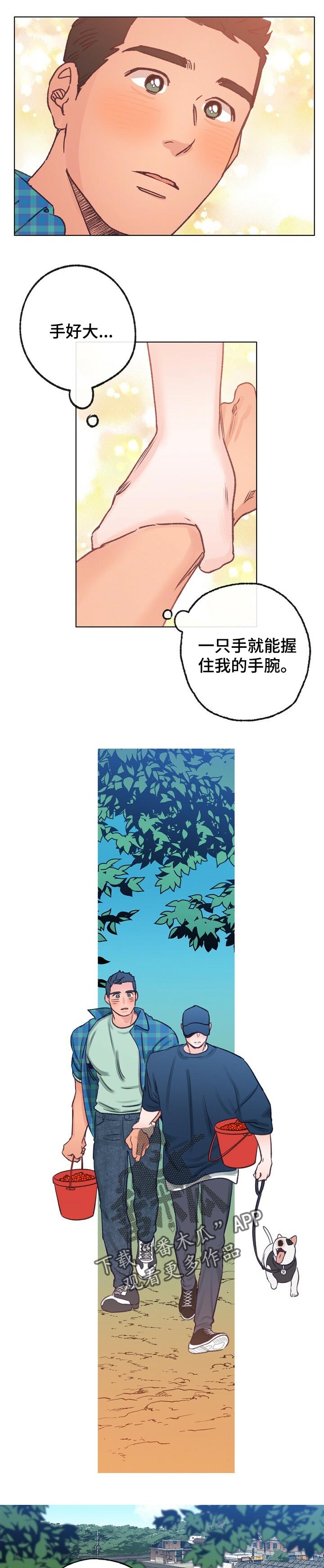 10.jpg