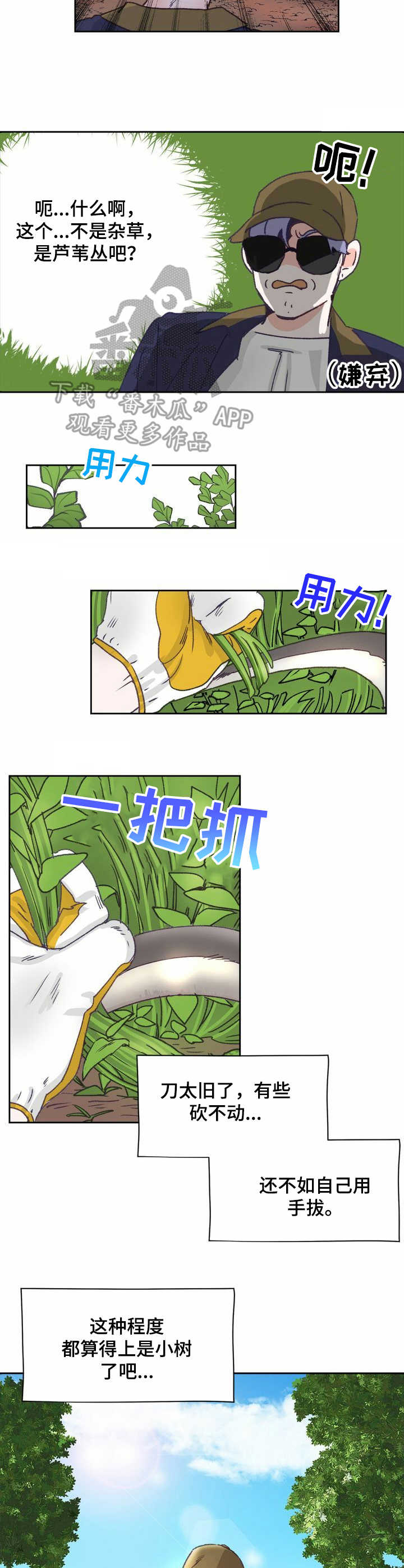 3.jpg