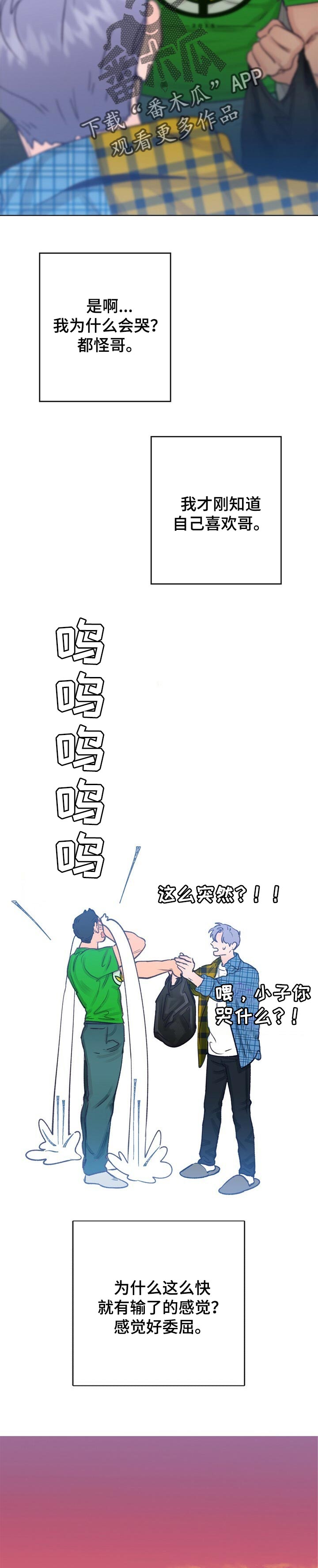 5.jpg