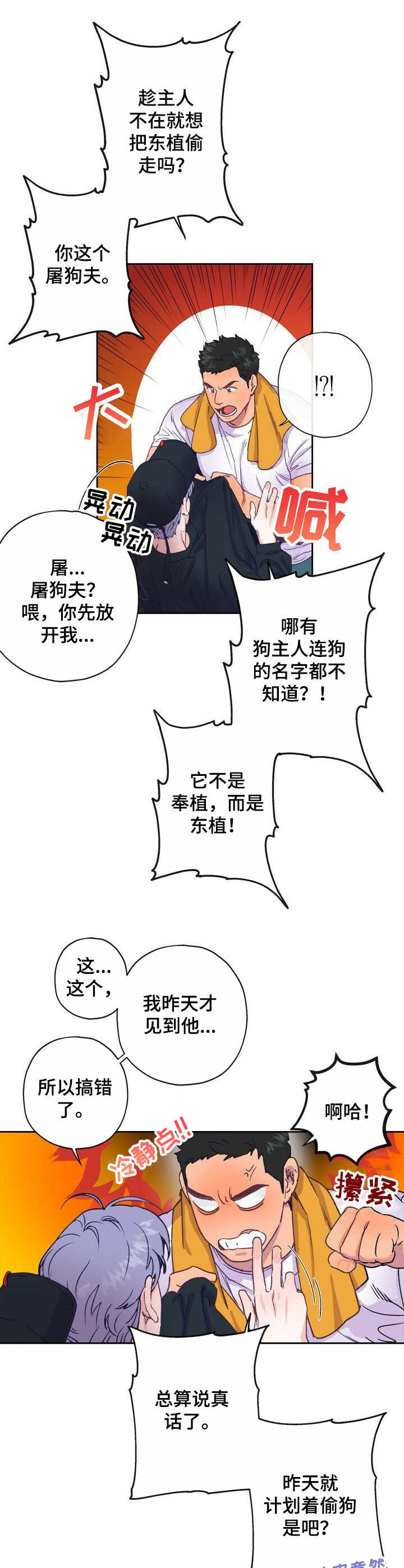 10.jpg