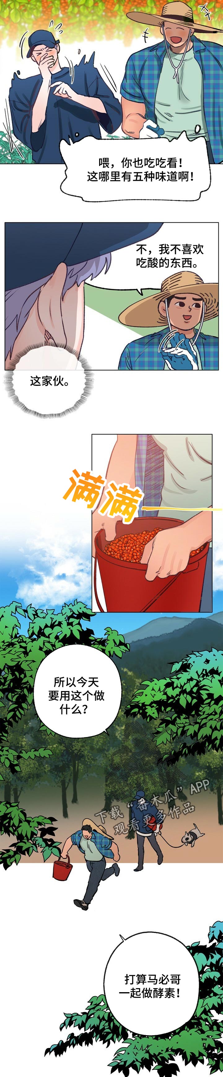 7.jpg