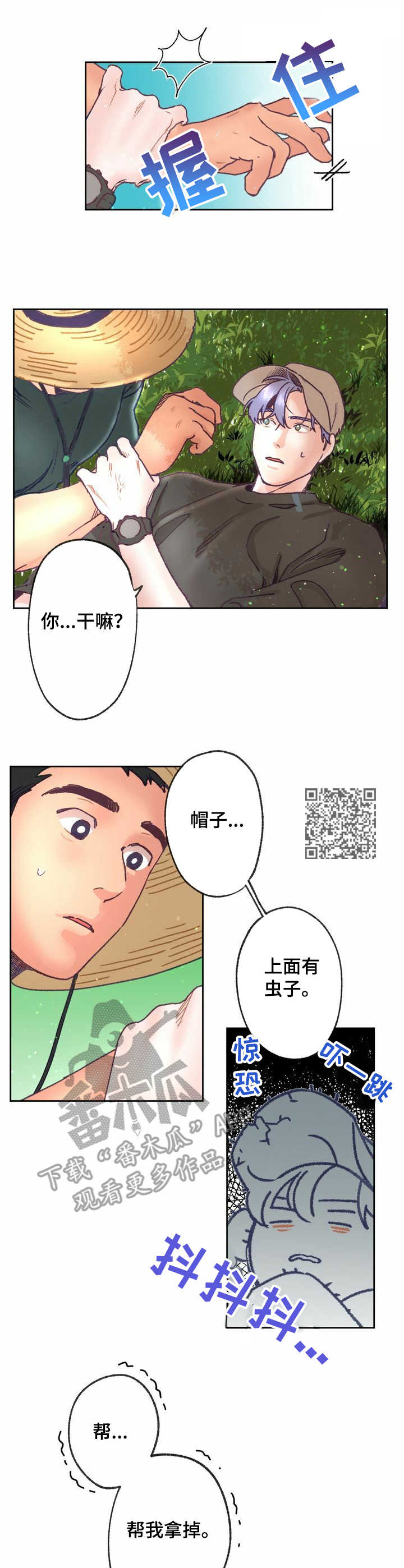 6.jpg