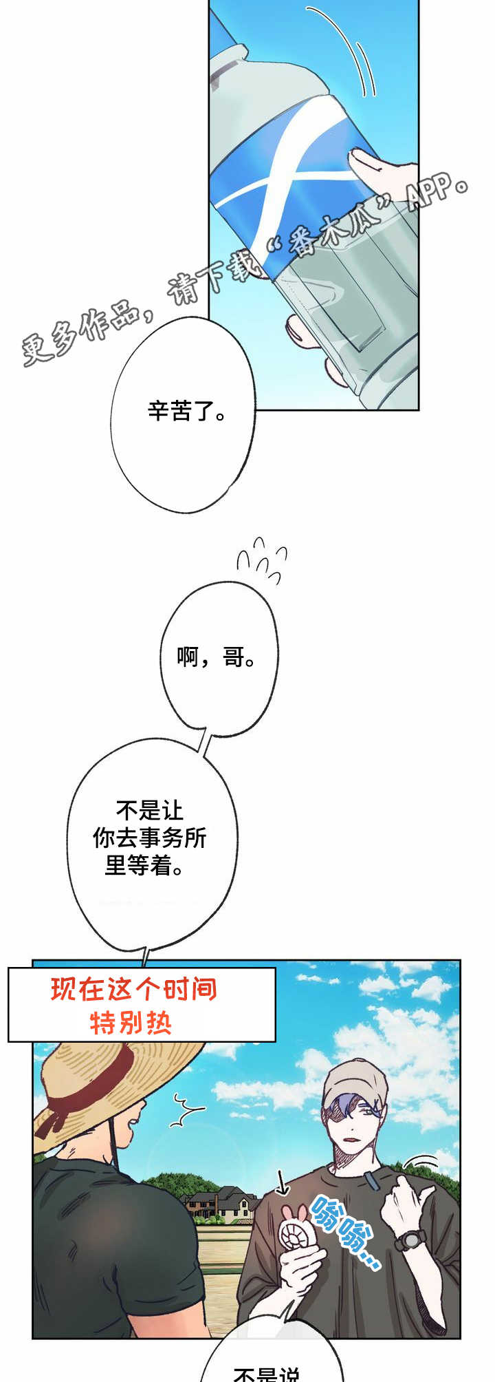 8.jpg