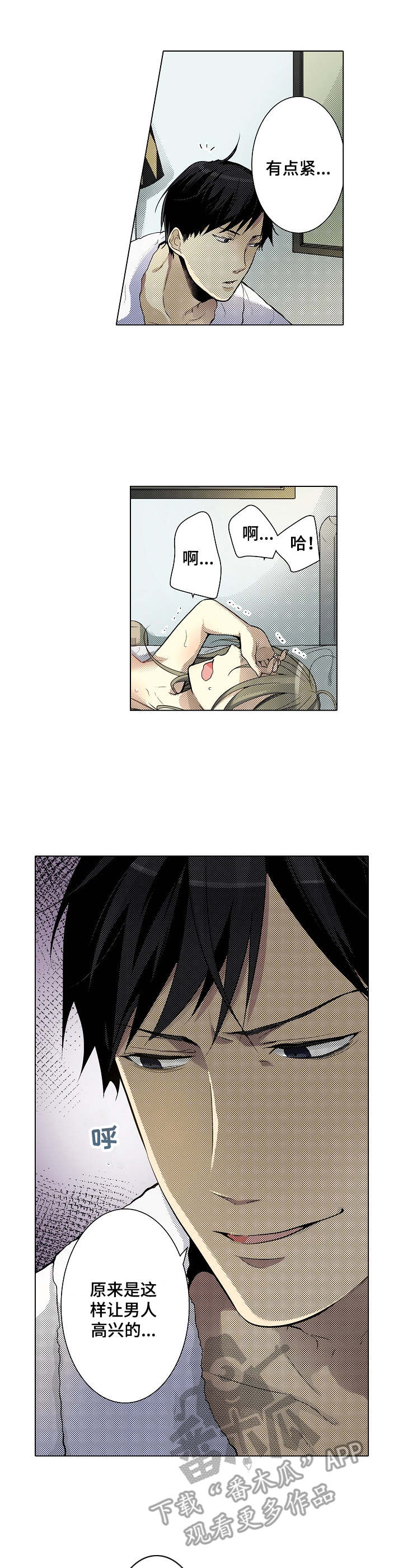 5.jpg