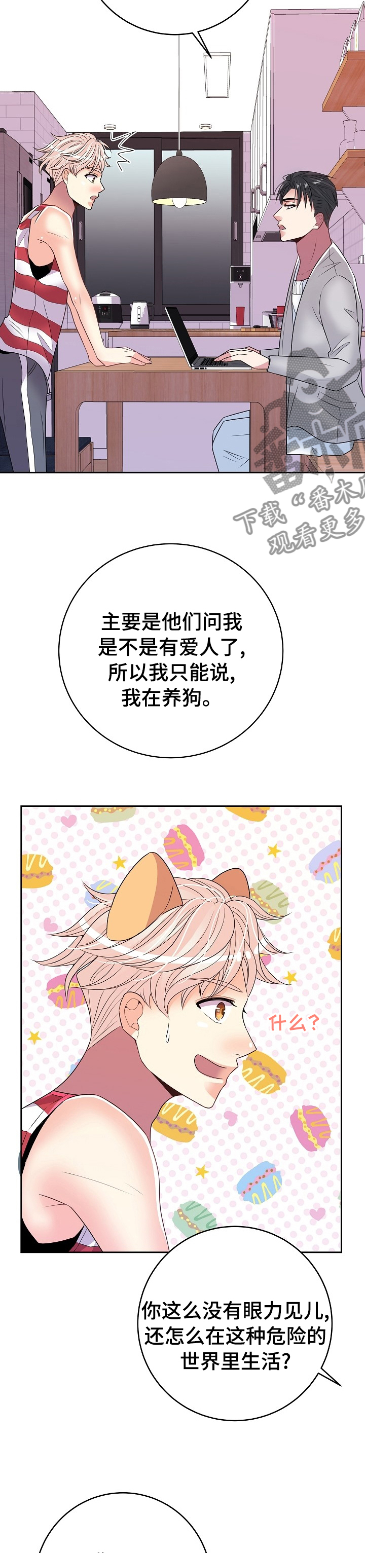 5.jpg