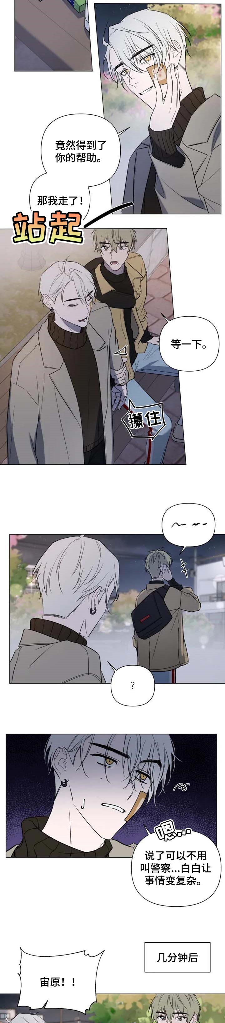 4.jpg