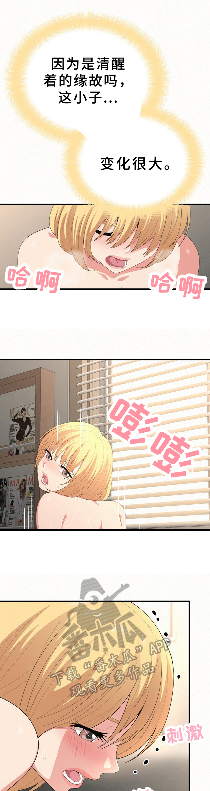 11.jpg