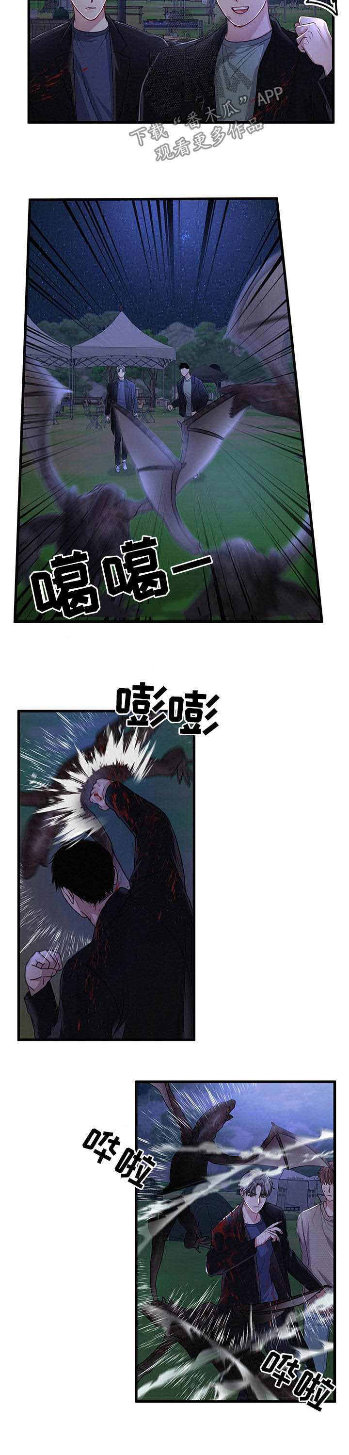 5.jpg