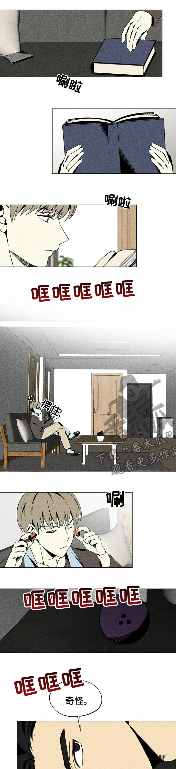 4.jpg
