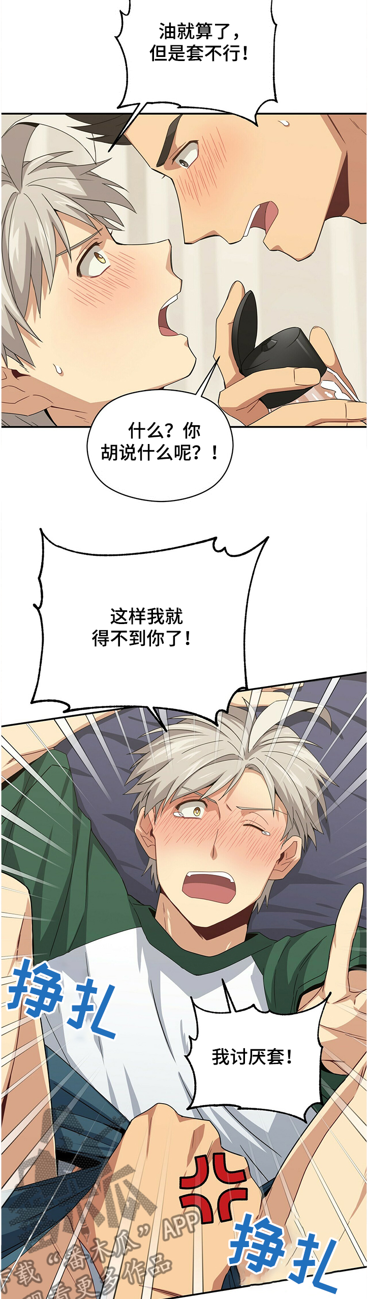 3.jpg