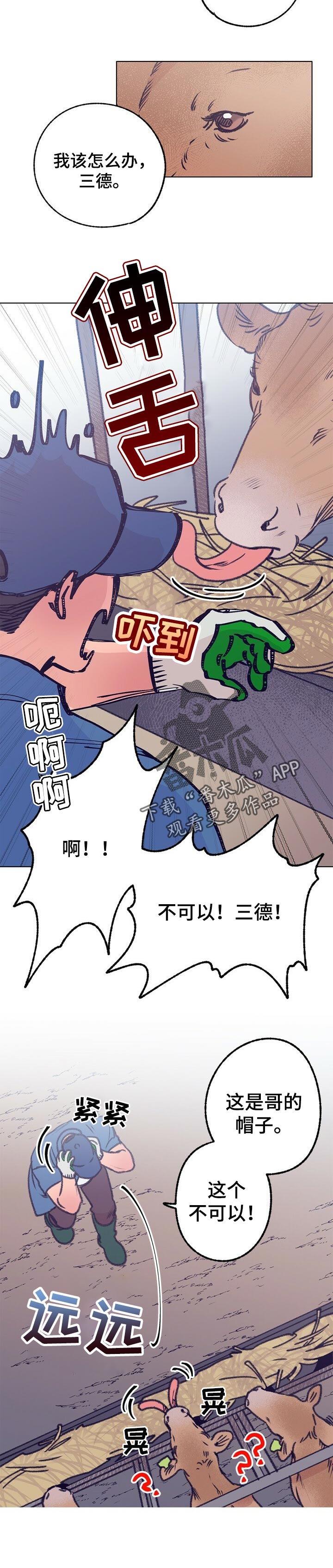 5.jpg