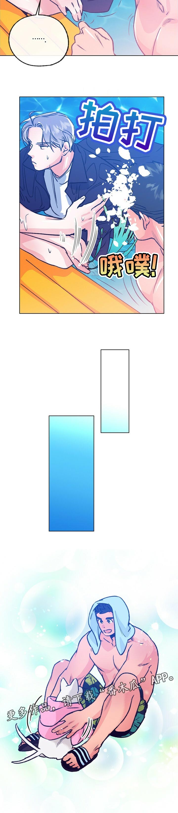12.jpg