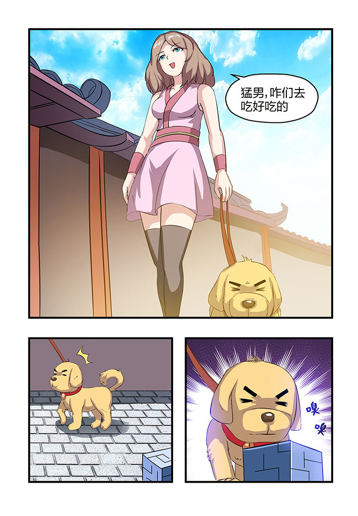 5.jpg