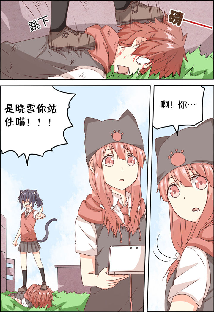 7.jpg