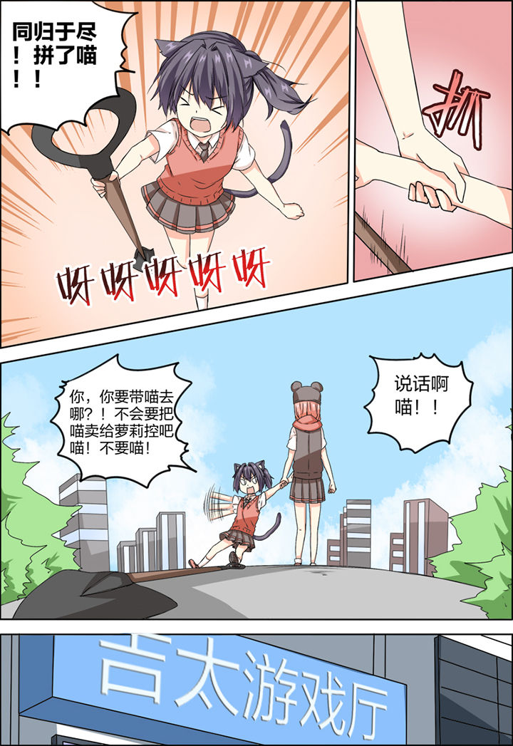 2.jpg