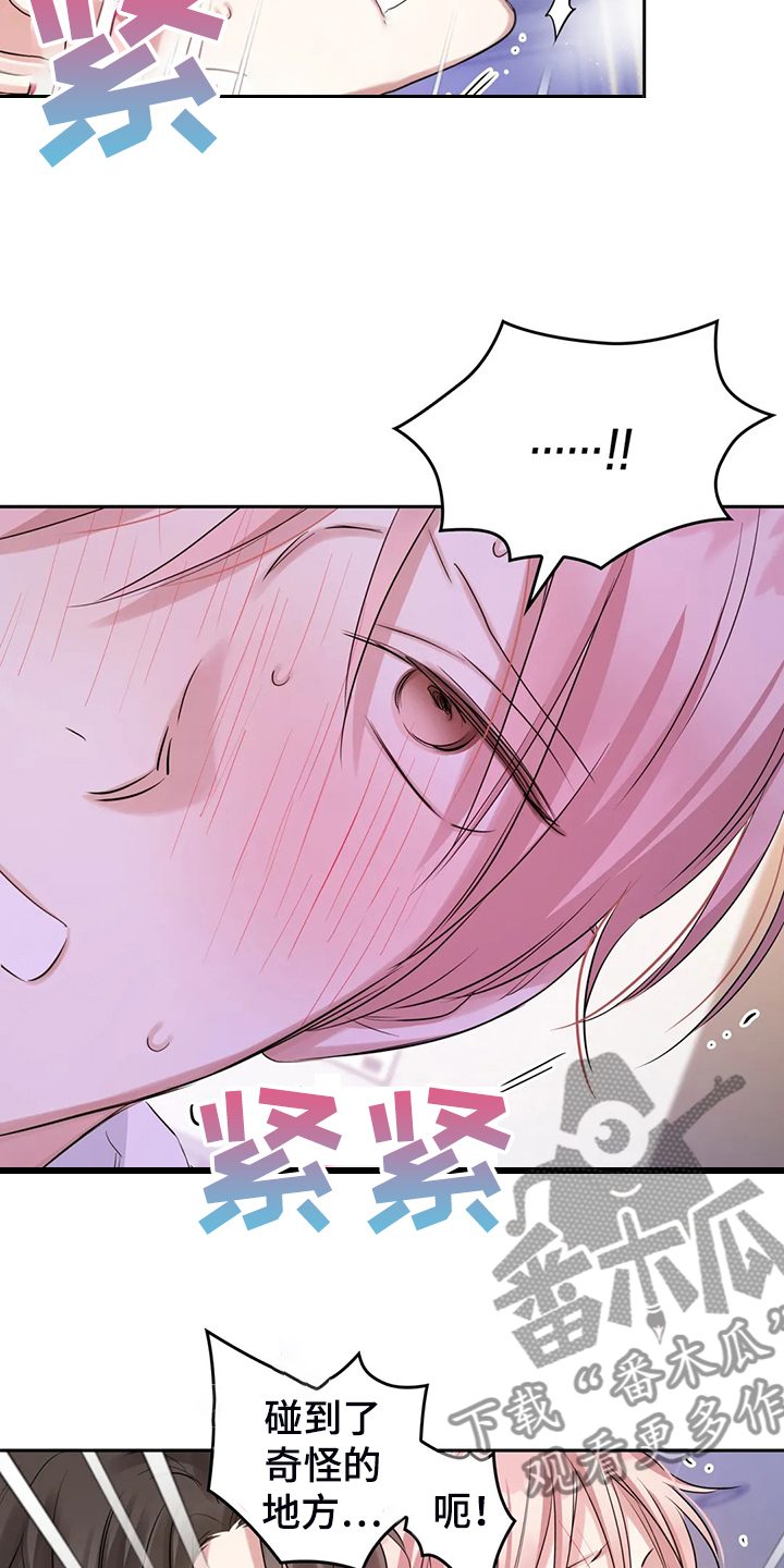 /template/pc/baozi/image/load.gif