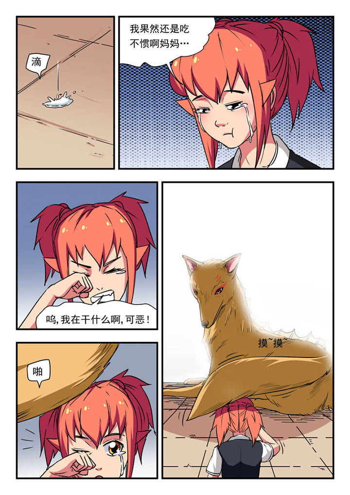 9.jpg