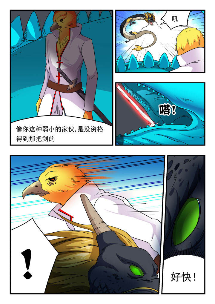 4.jpg