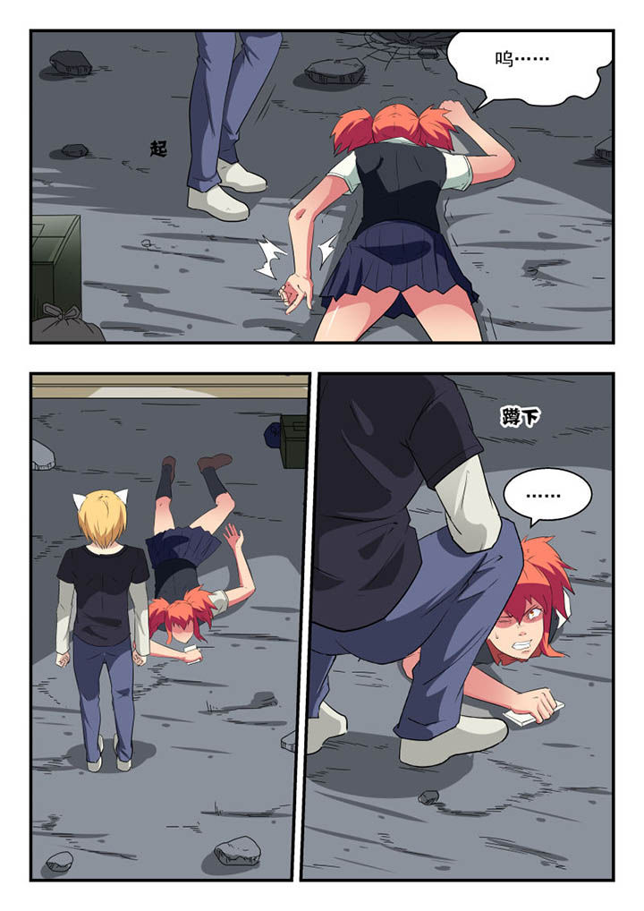 3.jpg
