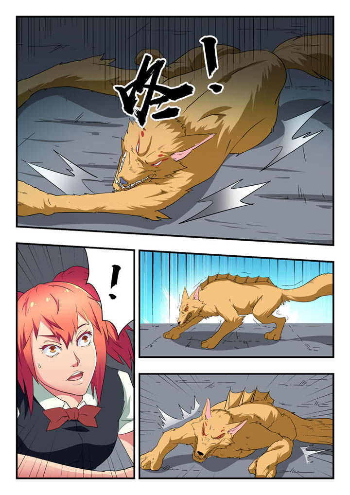 5.jpg