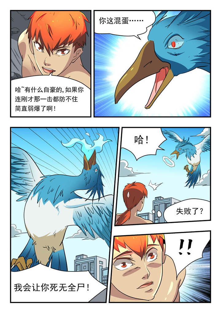 3.jpg