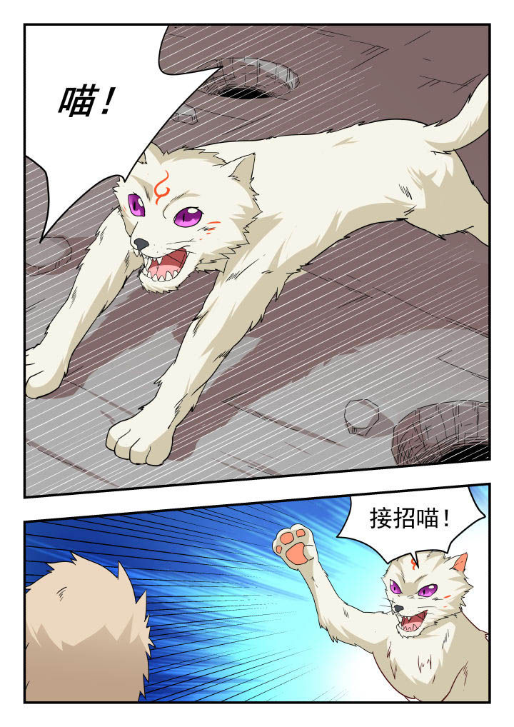 7.jpg