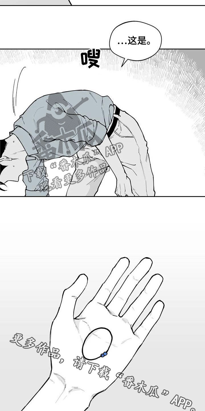 17.jpg
