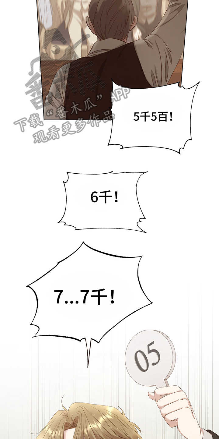 21.jpg