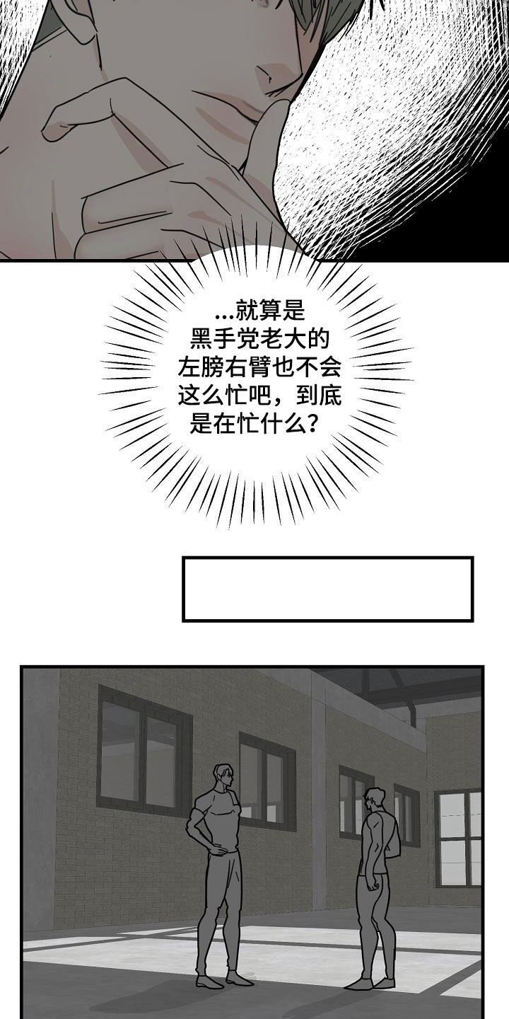 15.jpg