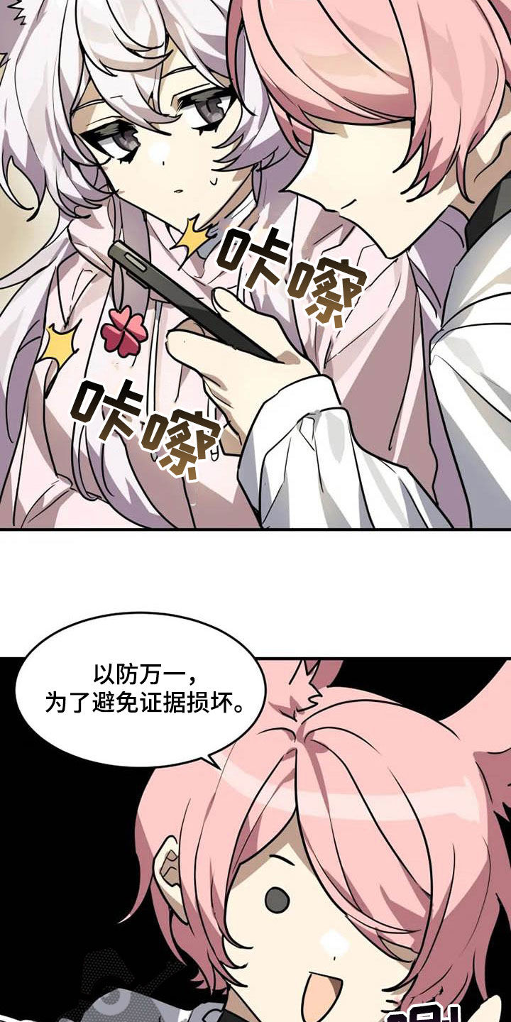 15.jpg