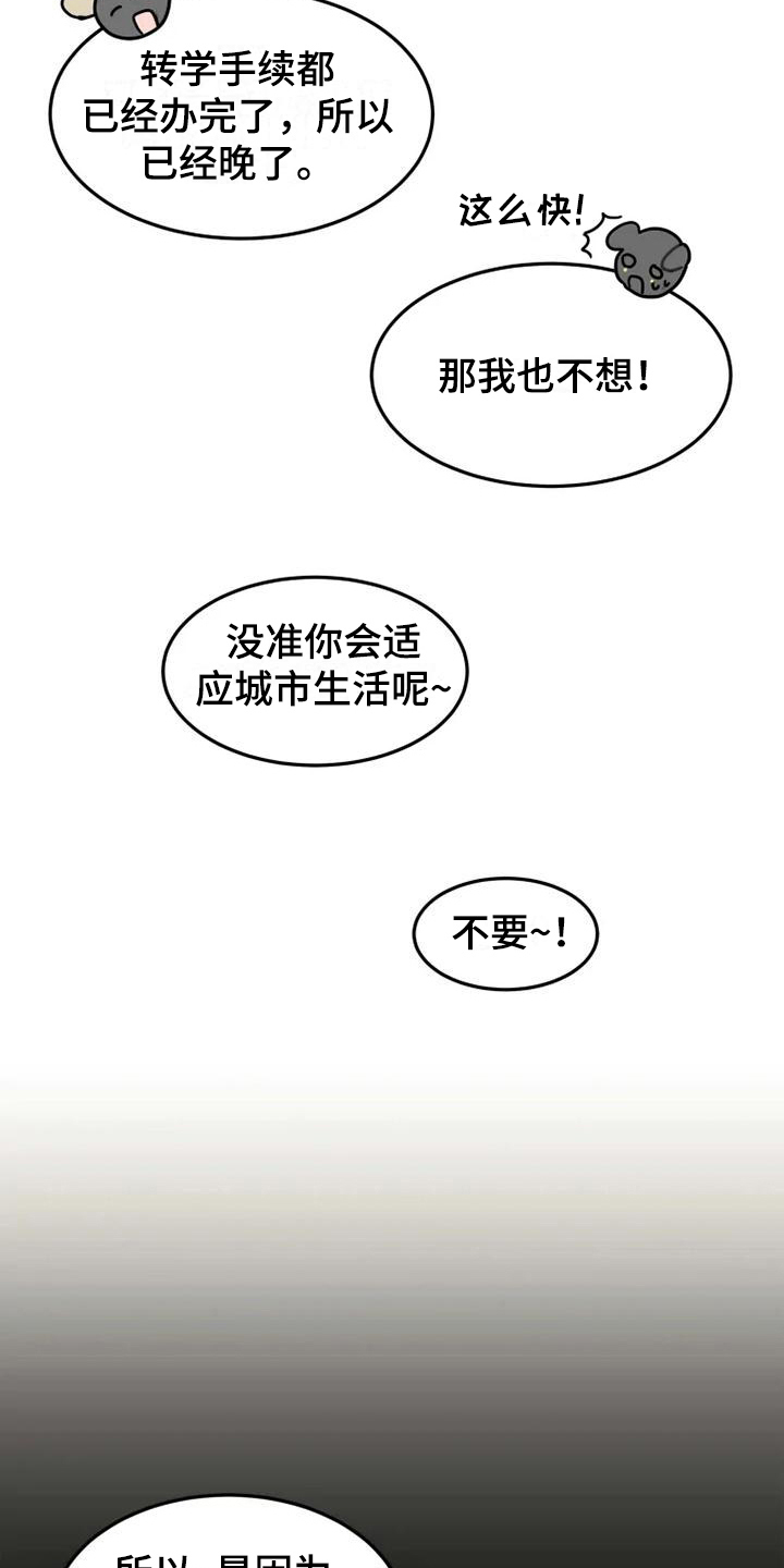 9.jpg