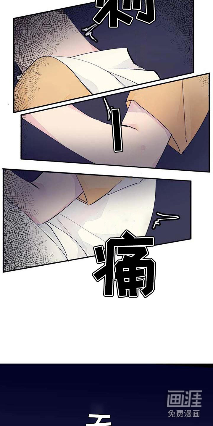 16.jpg