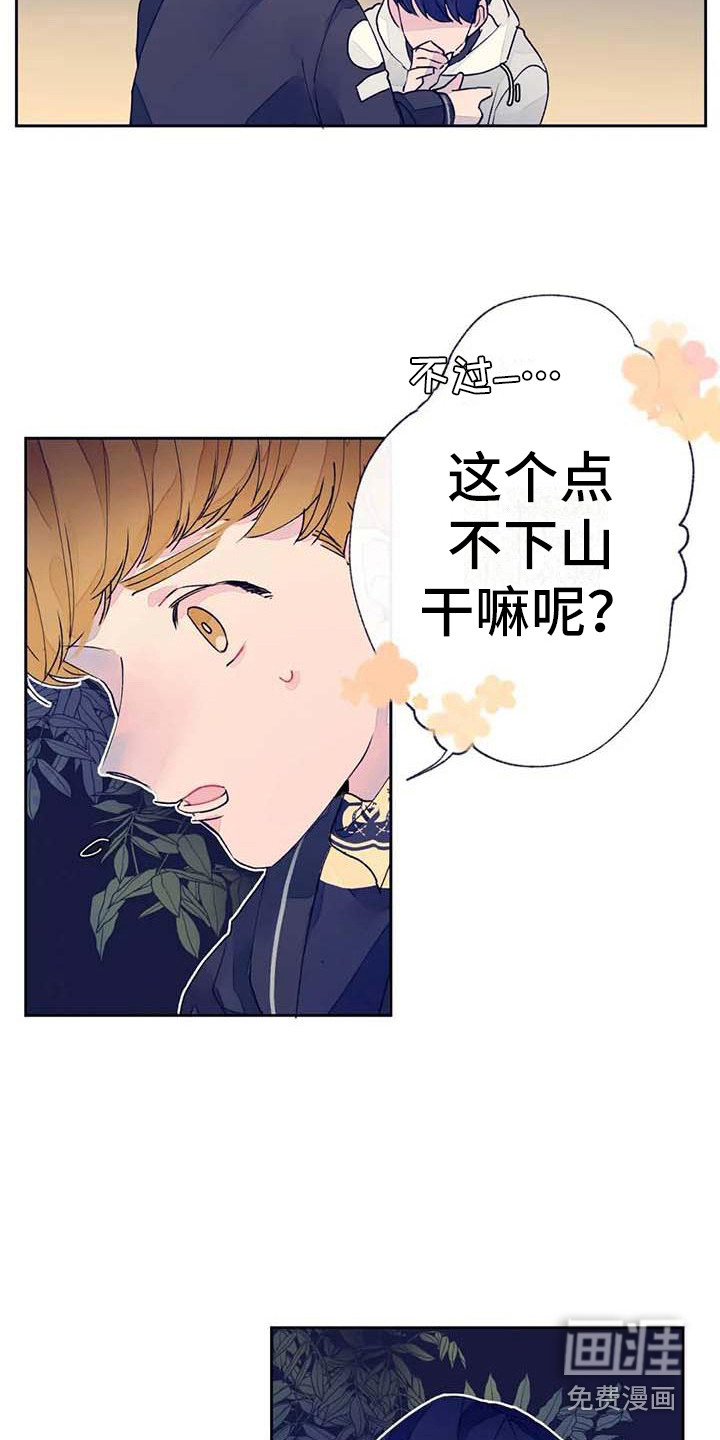 13.jpg