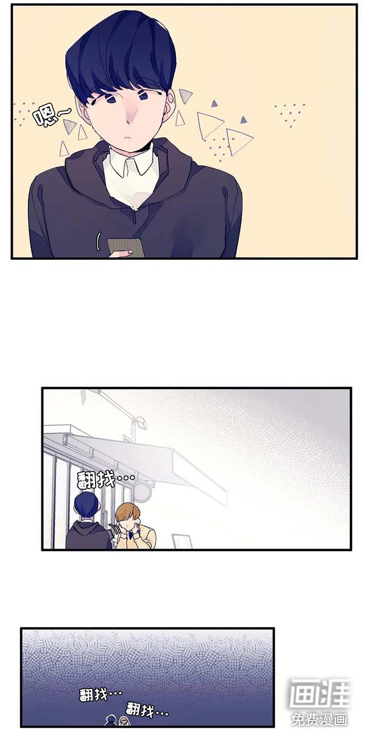 17.jpg