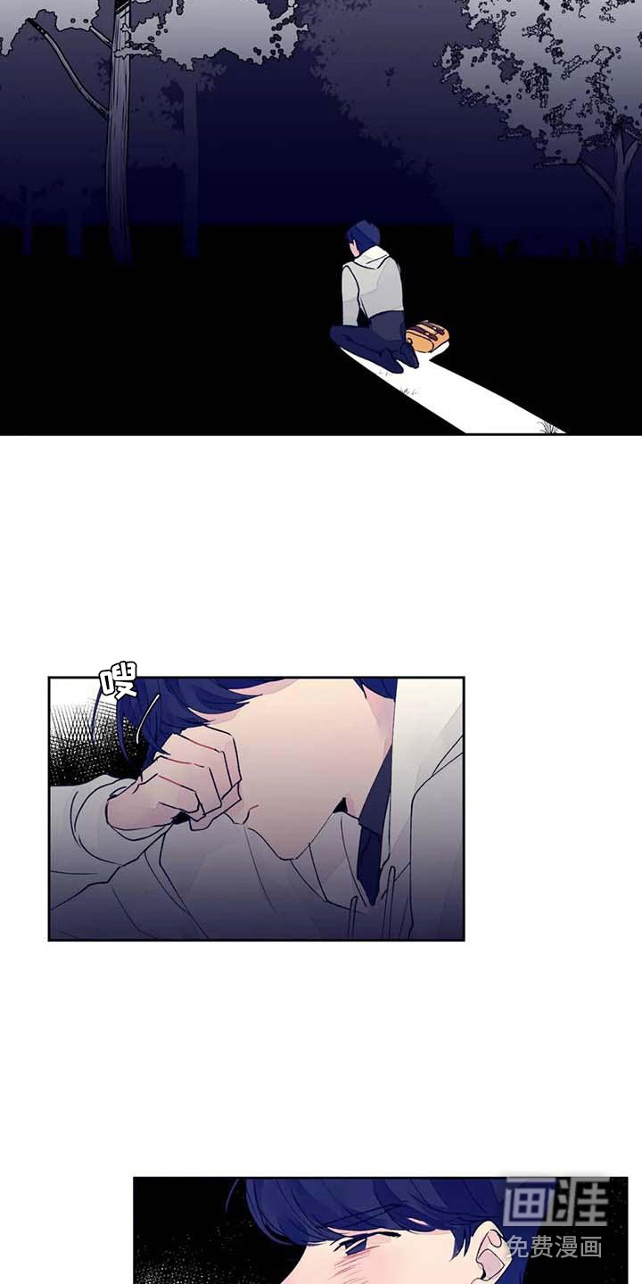 13.jpg