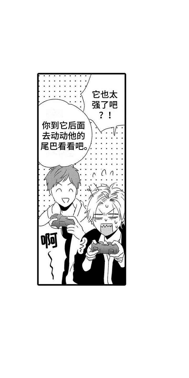 20