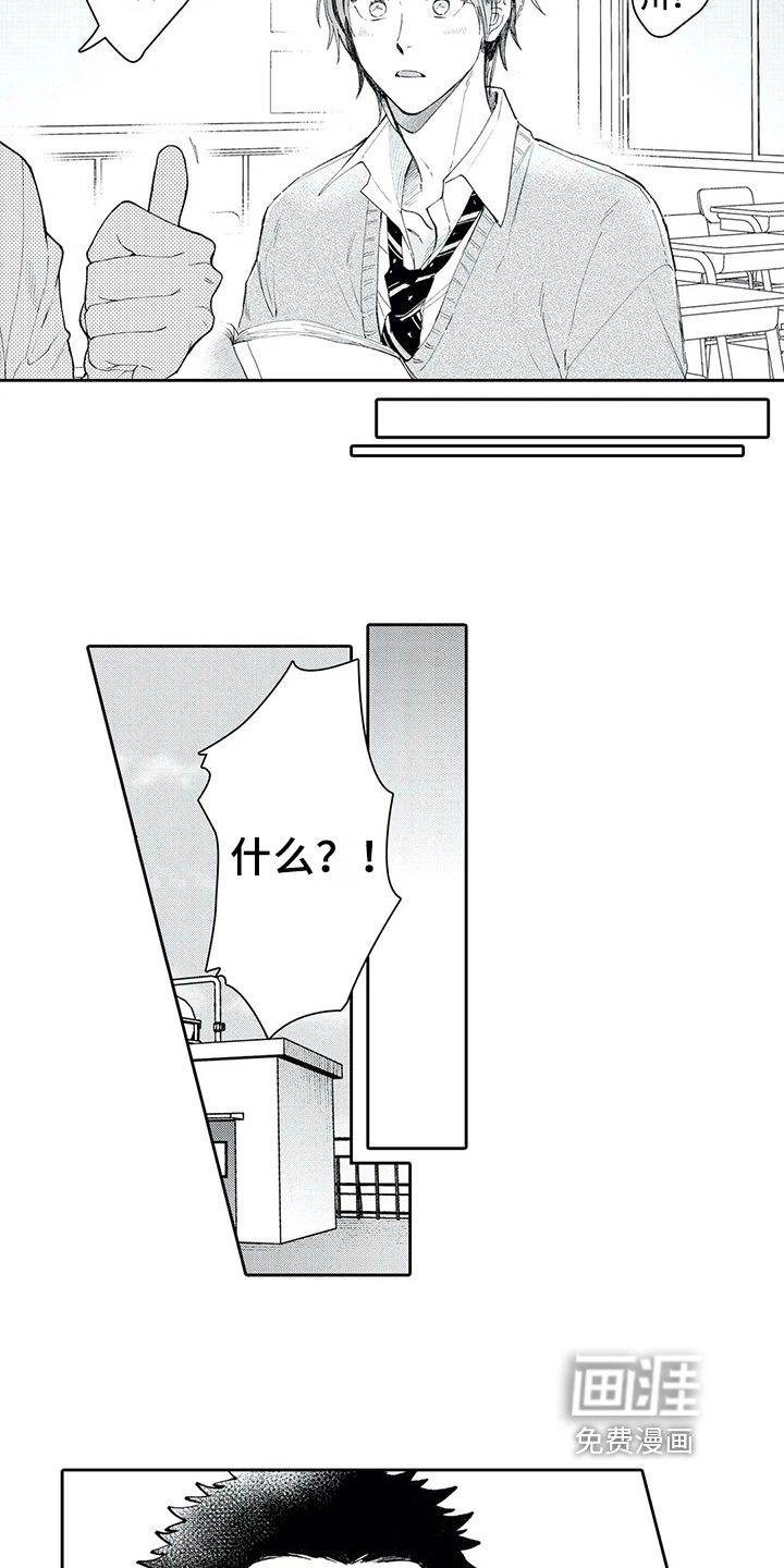 15.jpg