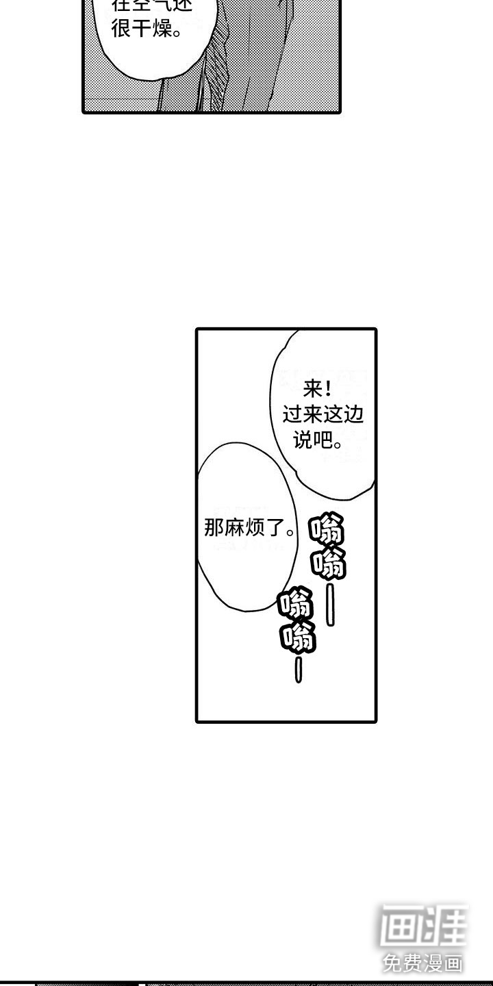 12.jpg