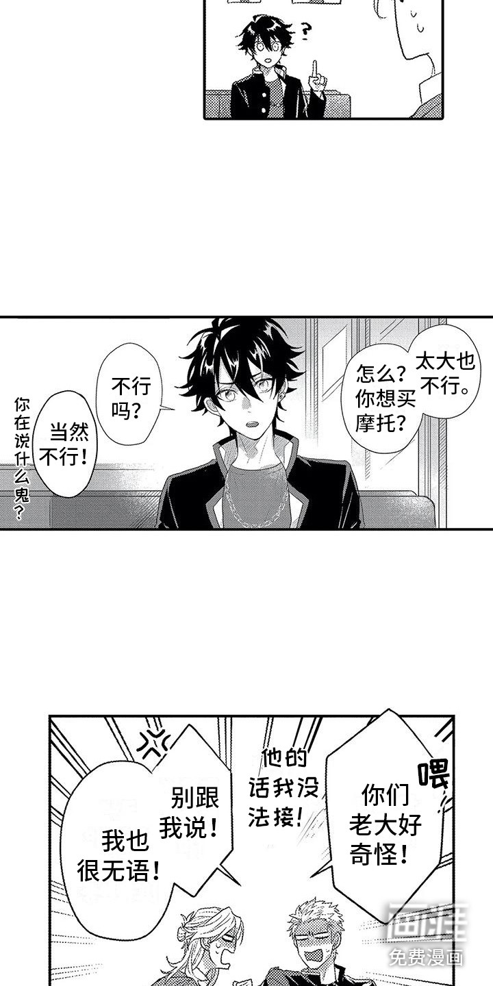 17
