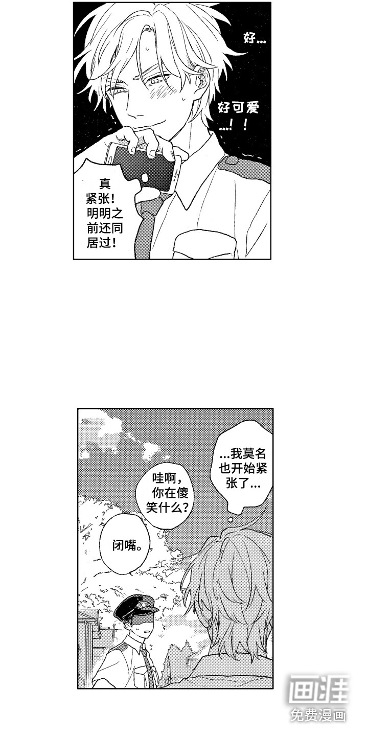 11.jpg