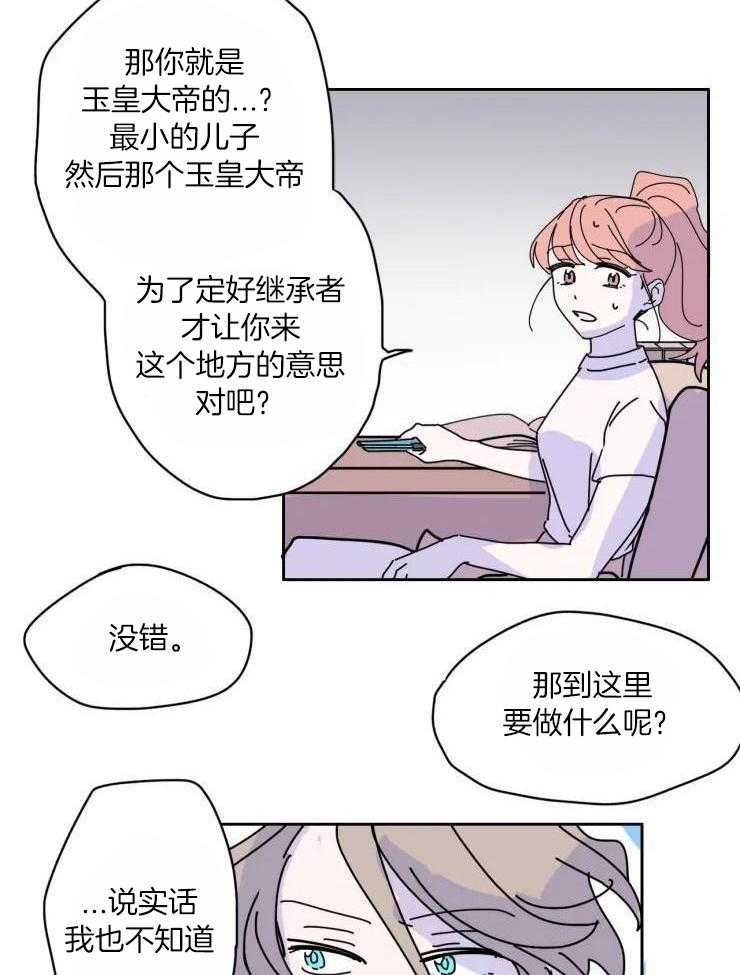 13.jpg