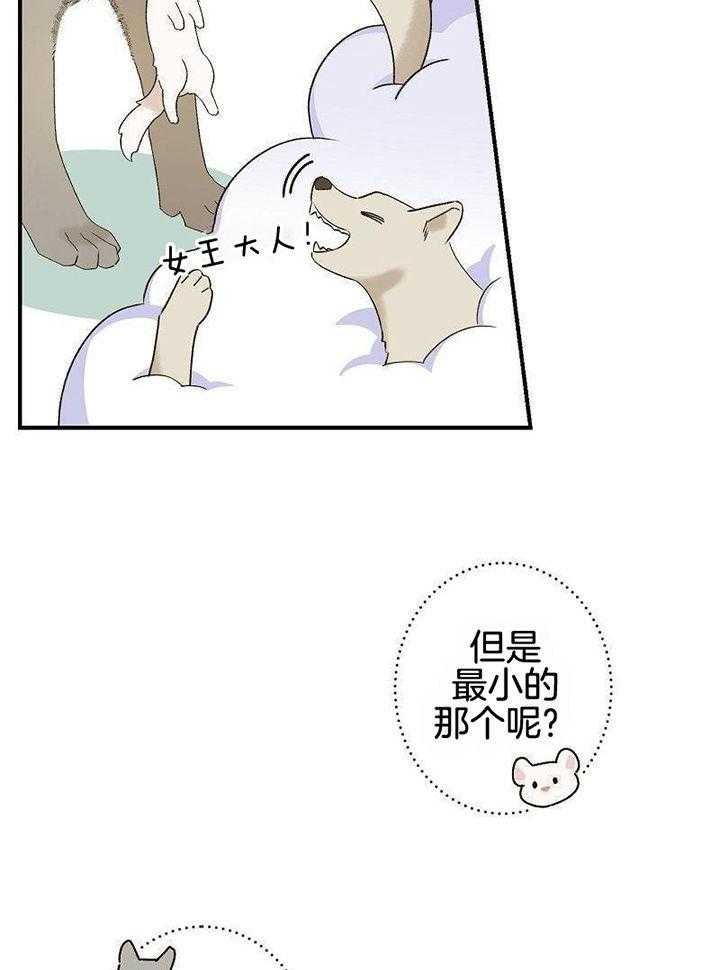 29
