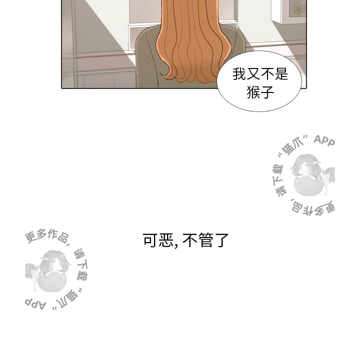 81.jpg